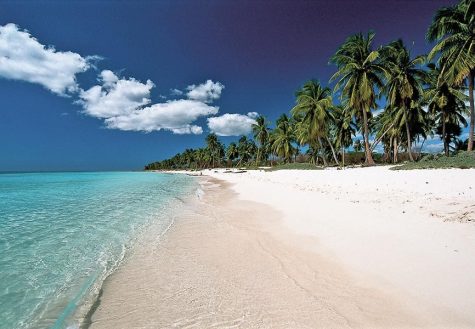 REPÚBLICA DOMINICANA | PUNTA CANA - Desde 1.153€